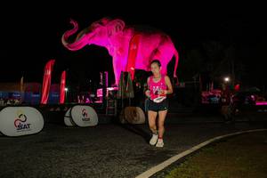 BIB: 
                            <button type="button" onclick="openModal(26534397)" class="btn btn-primary btn-sm float-right btn-popup" data-toggle="modal" data-target=".modal-high-quality">
                        <i class="fas fa-shopping-cart"></i> Add to Cart
                    </button>
                                            <button type="button" onclick="isThisMe(26534397, true)" class="btn btn-success btn-sm float-right btn-popup btn-isme hidden" data-toggle="tooltip" data-placement="bottom" title="นี่คือรูปของคุณใช่ไหม คลิกที่นี่เพื่อเอาเข้าอัลบั้ม">
                        <i class="fas fa-plus"></i> Add to album
                    </button>
                    <button type="button" onclick="isThisMe(26534397, false)" class="btn btn-warning btn-sm float-right btn-popup btn-isnotme hidden">
                        <i class="fas fa-ban"></i> Remove from album
                    </button>